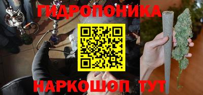 a pvp Гагарин