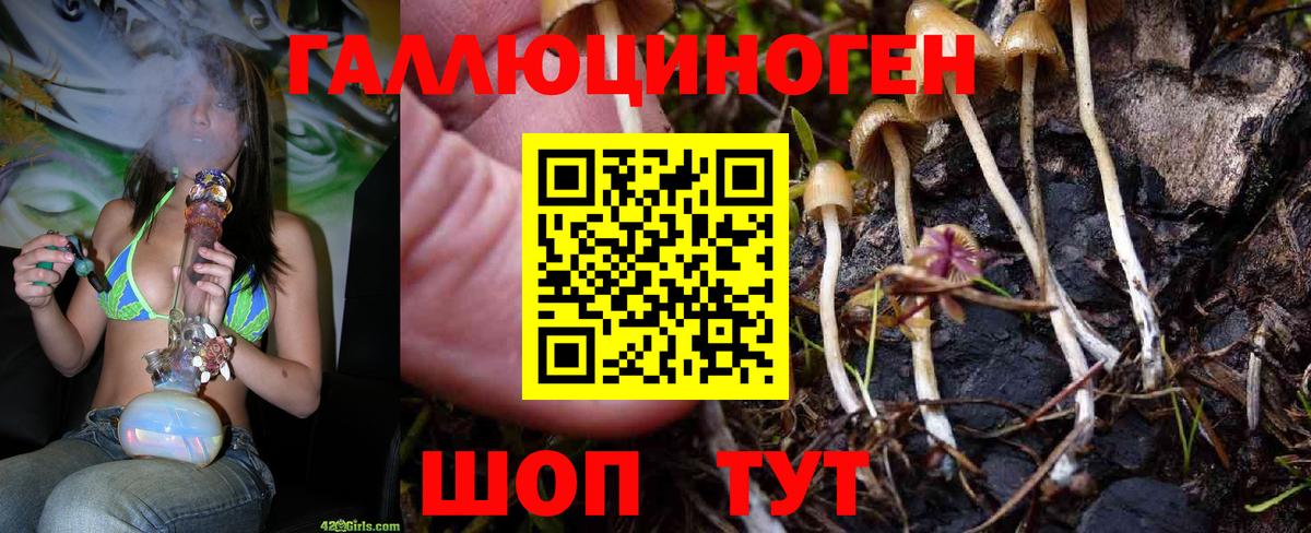 Семёнов  Псилоцибиновые грибы MAGIC MUSHROOMS  Вход с VPN  Псилоцибиновые грибы прущие грибы 