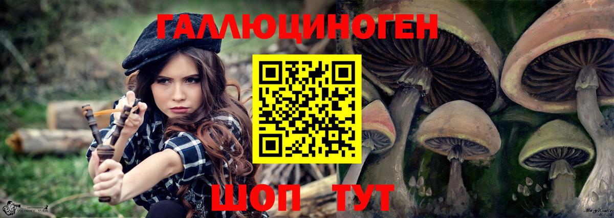 Галлюциногенные грибы Magic Shrooms Семёнов